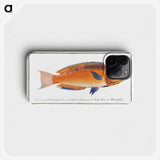 1-53_Ichtyologie-ou-Histoire-naturelle_phone