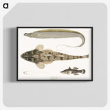 1-53_Indian-Zoology_blk-crop