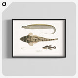 1-53_Indian-Zoology_blk