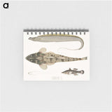 1-53_Indian-Zoology_memo