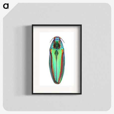 1-53_Insects-Unlocked-Project_blk