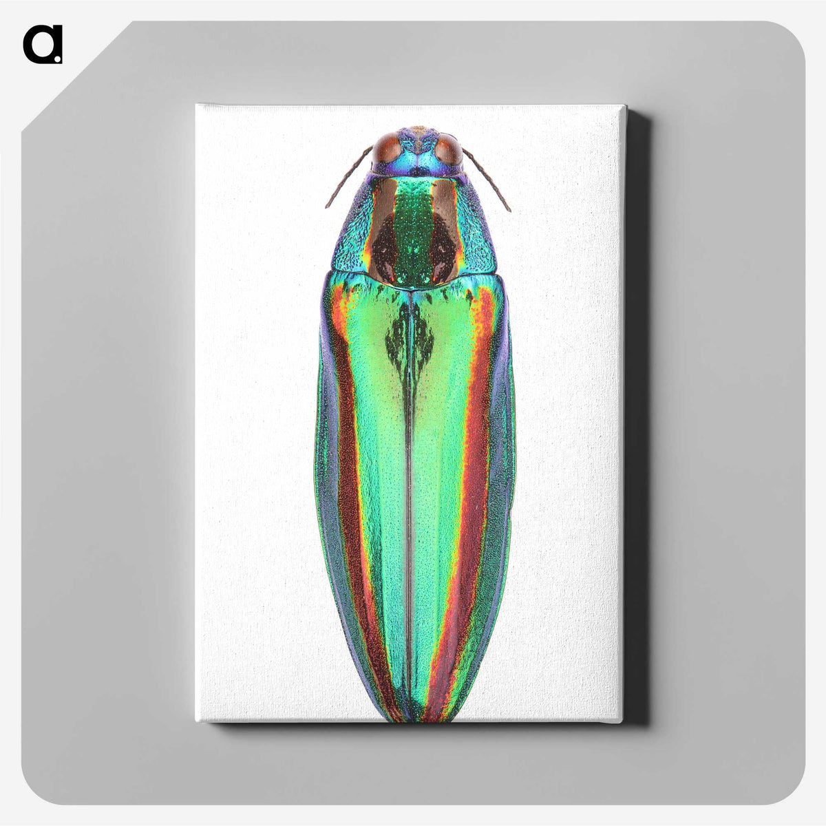 1-53_Insects-Unlocked-Project_canvas