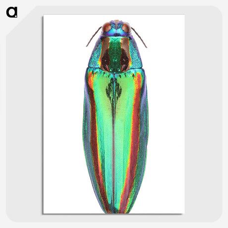 1-53_Insects-Unlocked-Project_picture-crop
