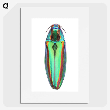 1-53_Insects-Unlocked-Project_picture