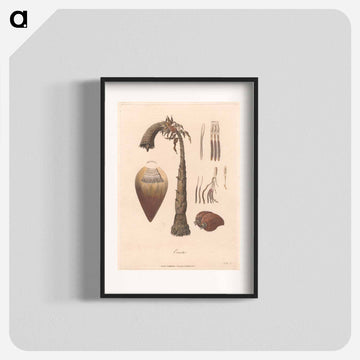 Ensete
 - ジェームス ヒース Poster.