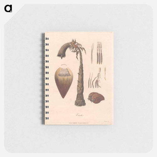 Ensete
 - ジェームス ヒース Memo.