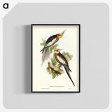1-53_John-Gould_blk-crop
