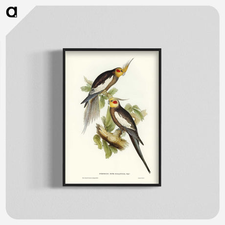 1-53_John-Gould_blk-crop