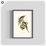 1-53_John-Gould_blk