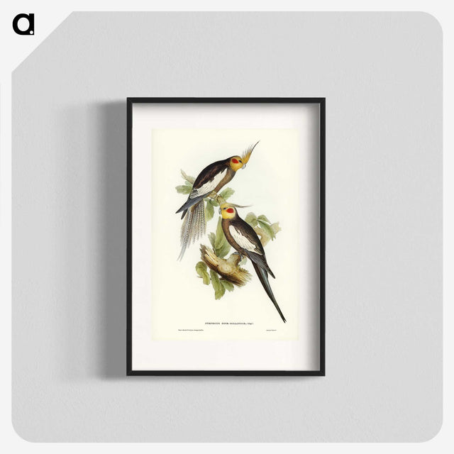 1-53_John-Gould_blk