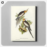 1-53_John-Gould_canvas