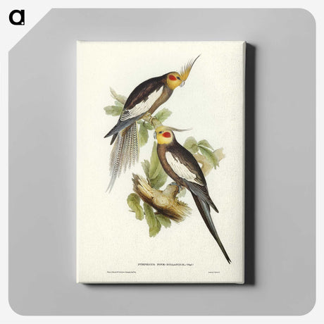 1-53_John-Gould_canvas