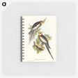 1-53_John-Gould_memo
