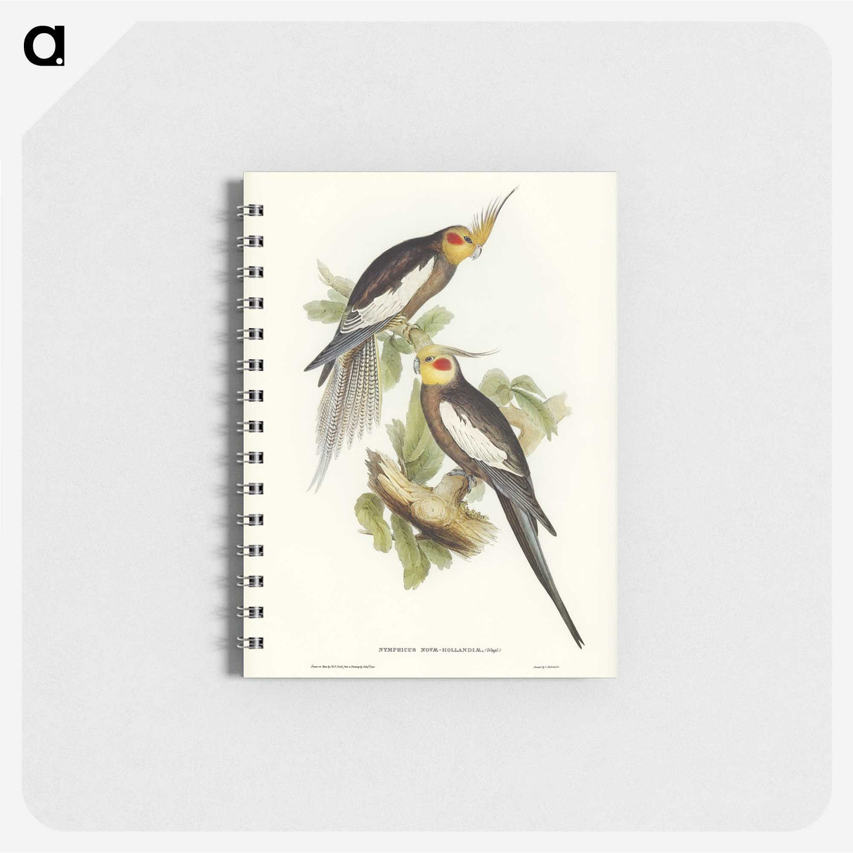 1-53_John-Gould_memo