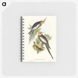 1-53_John-Gould_memo