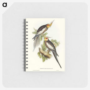 1-53_John-Gould_memo