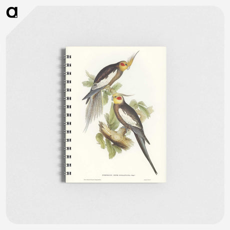 1-53_John-Gould_memo