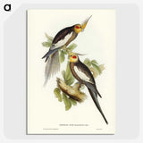 1-53_John-Gould_picture-crop