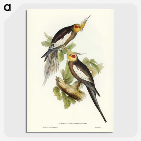 1-53_John-Gould_picture-crop