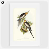 1-53_John-Gould_picture