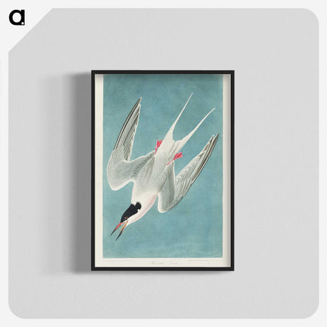 1-53_John-James-Audubon_blk-crop
