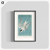 1-53_John-James-Audubon_blk