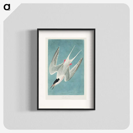 1-53_John-James-Audubon_blk