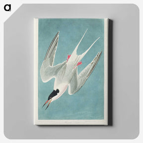 1-53_John-James-Audubon_canvas