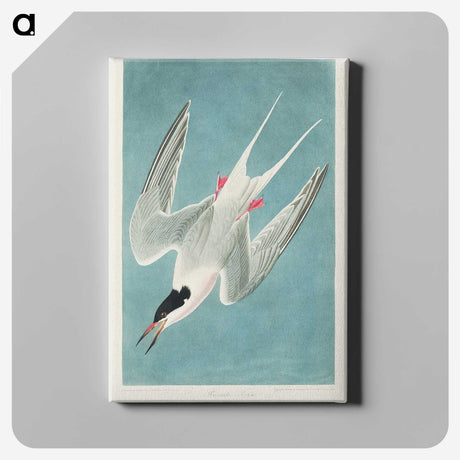 1-53_John-James-Audubon_canvas