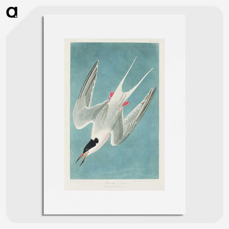 1-53_John-James-Audubon_picture