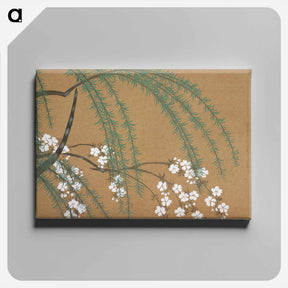 アートパネル-Blossoms from Momoyogusa–Flowers of a Hundred Generations - 神坂 雪佳 Canvas.