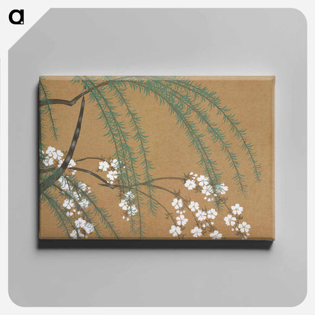 アートパネル-Blossoms from Momoyogusa–Flowers of a Hundred Generations - 神坂 雪佳 Canvas.