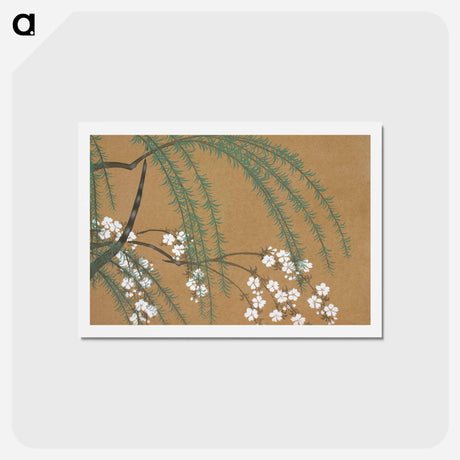 アートポストカード-Blossoms from Momoyogusa–Flowers of a Hundred Generations - 神坂 雪佳 Postcard.