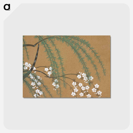 アートポストカード-Blossoms from Momoyogusa–Flowers of a Hundred Generations - 神坂 雪佳 Postcard.