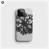 1-53_Karl-Blossfeldt_phone