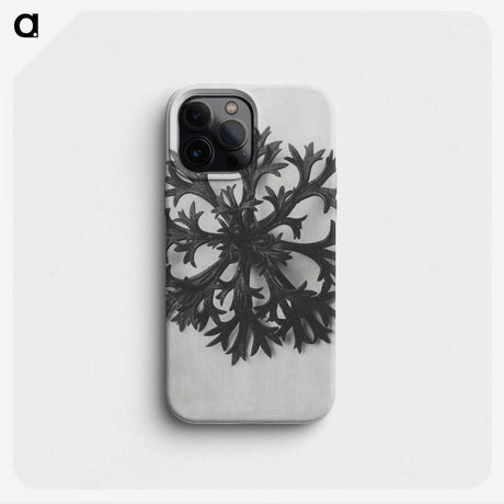 1-53_Karl-Blossfeldt_phone