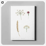 1-53_La-Botanique_canvas