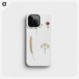 1-53_La-Botanique_phone