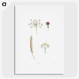 1-53_La-Botanique_picture