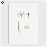 1-53_La-Botanique_picture