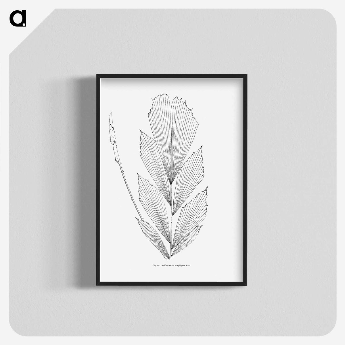 1-53_Les-Palmiers-Histoire-Iconographique_blk-crop