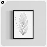 1-53_Les-Palmiers-Histoire-Iconographique_blk-crop