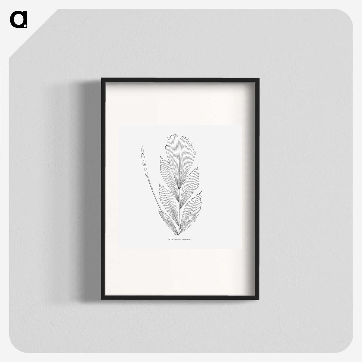 1-53_Les-Palmiers-Histoire-Iconographique_blk