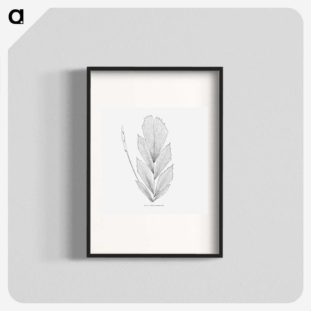 1-53_Les-Palmiers-Histoire-Iconographique_blk