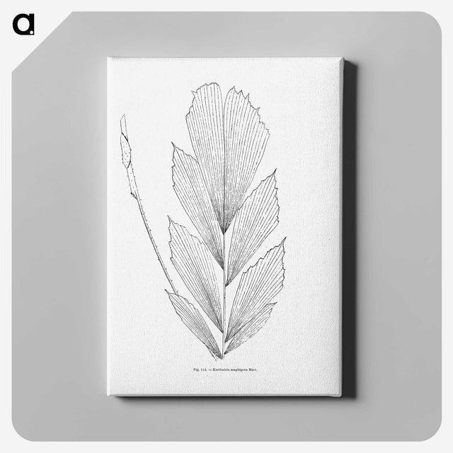 1-53_Les-Palmiers-Histoire-Iconographique_canvas