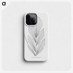 1-53_Les-Palmiers-Histoire-Iconographique_phone