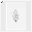 1-53_Les-Palmiers-Histoire-Iconographique_picture