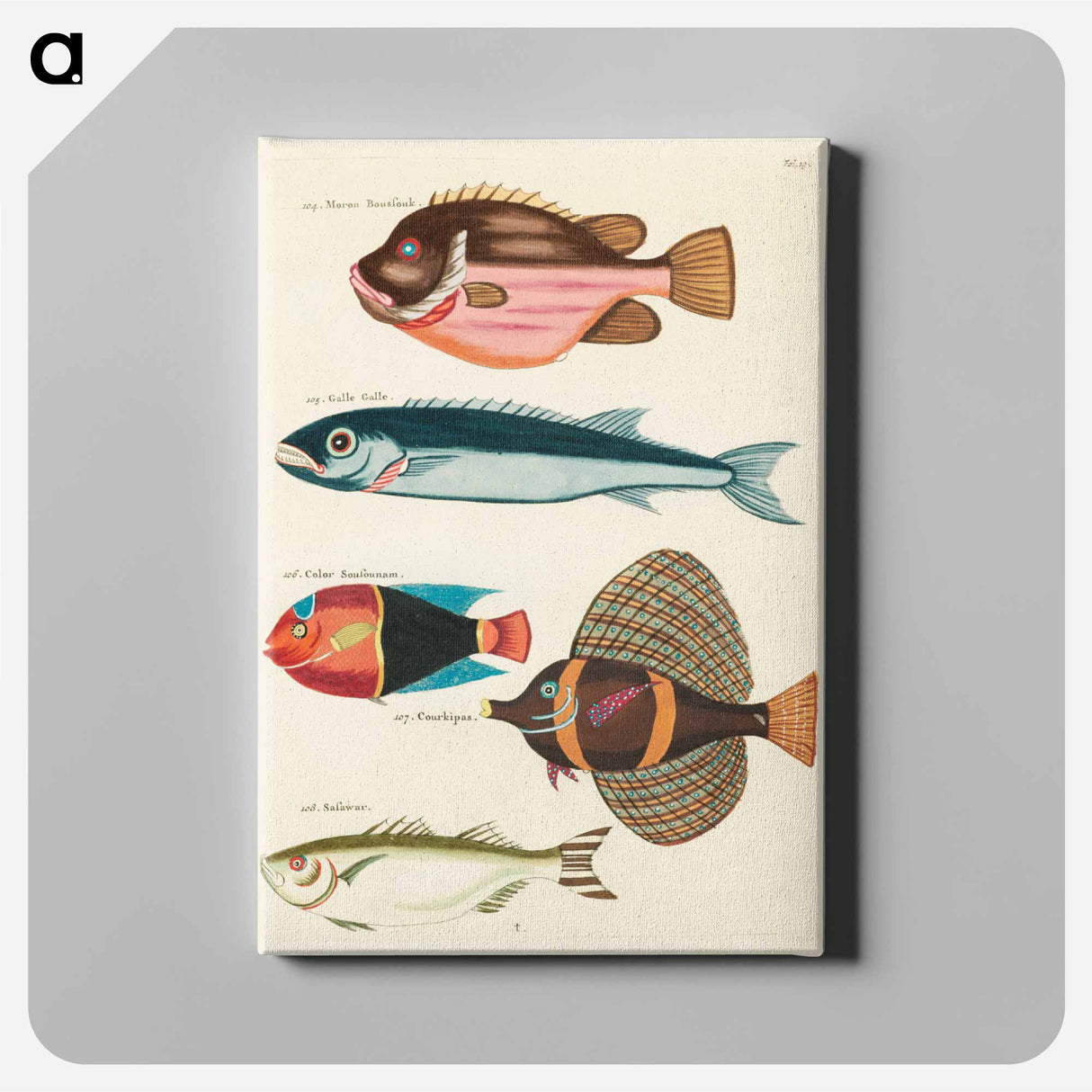 アートパネル-Moluccan Fishes
 - ルイ ルナール Canvas.