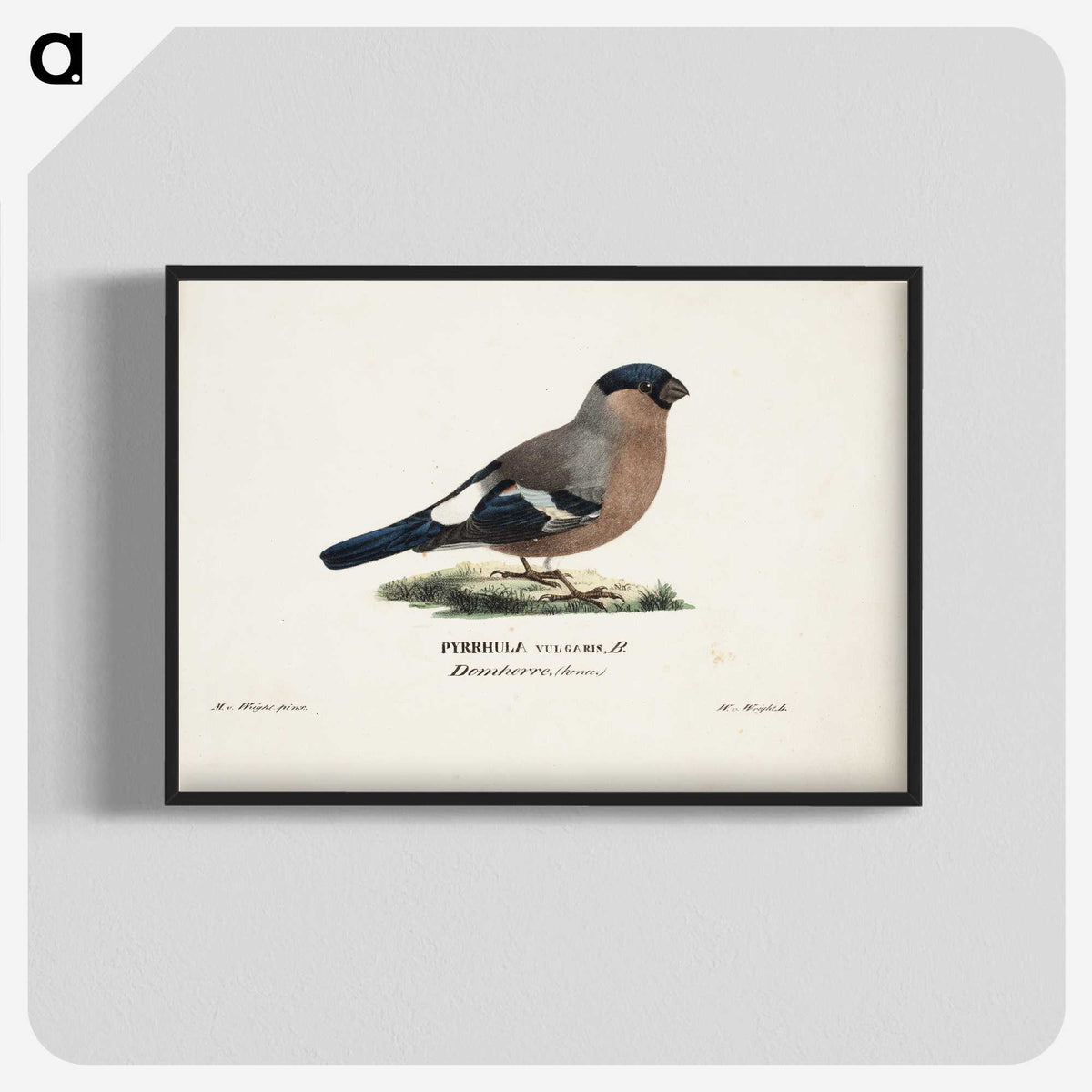 1-53_Magnus-von-Wright_blk-crop