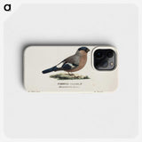 1-53_Magnus-von-Wright_phone